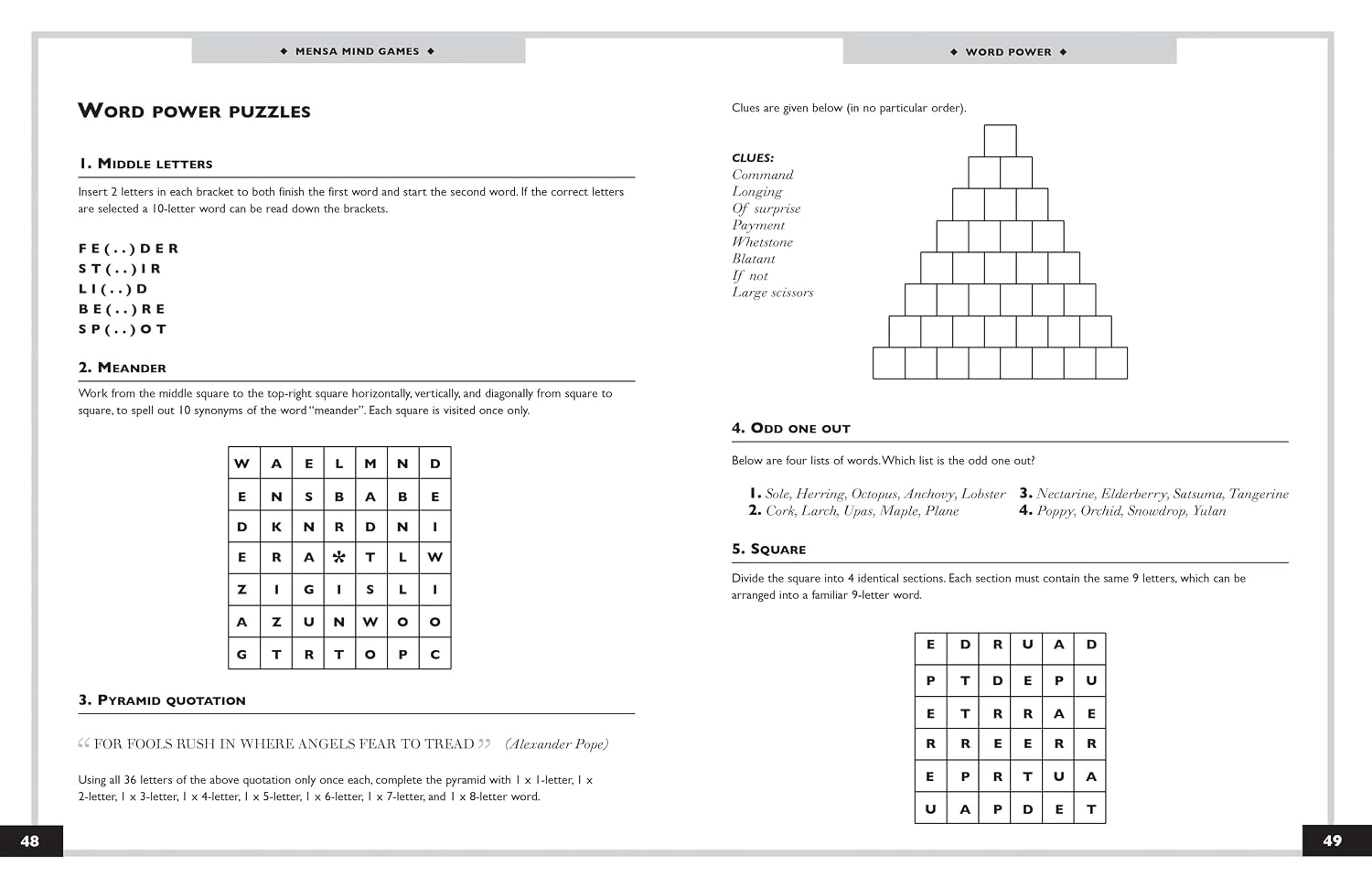 A printed puzzle worksheet titled 'WORD POWER WORD PUZZLES' with multiple text-based riddles, a word ladder chart, a pyramid clue, and a crossword grid on a white page.