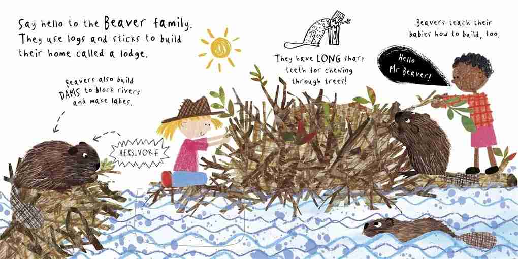 Hello, Mrs. Bear! – Sam Boughton
