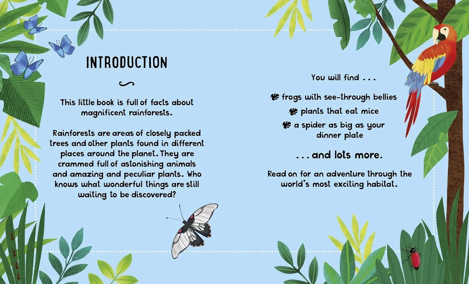 The Small and Mighty Book of Rainforests