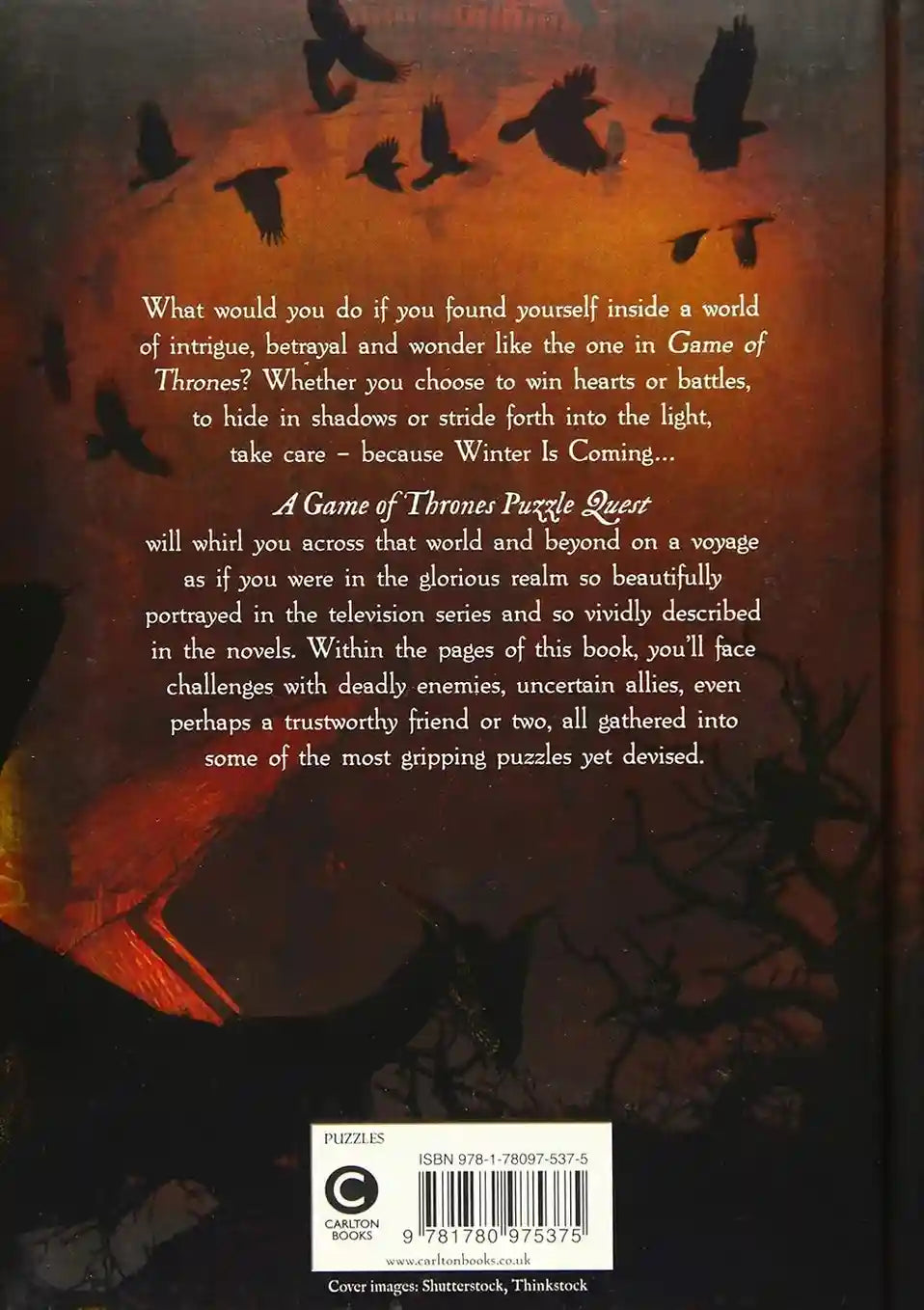 A Game of Thrones Puzzle Queste