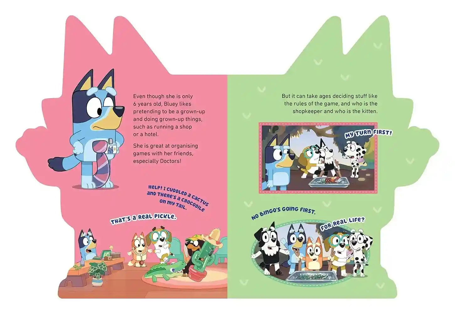 All About Bluey