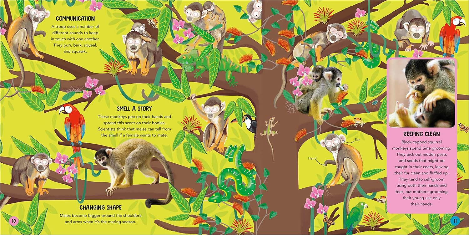 Animal Teams - How Amazing Animals Work Together in the Wild