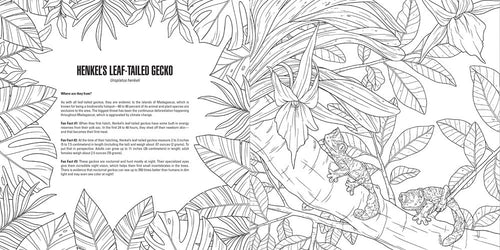 Coloring book page with line art of a leaf-tailed gecko and tropical leaves.