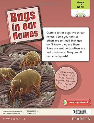 Bugs in our Homes