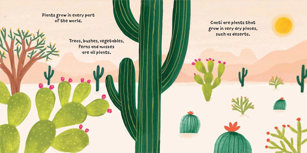 Clever Cacti
