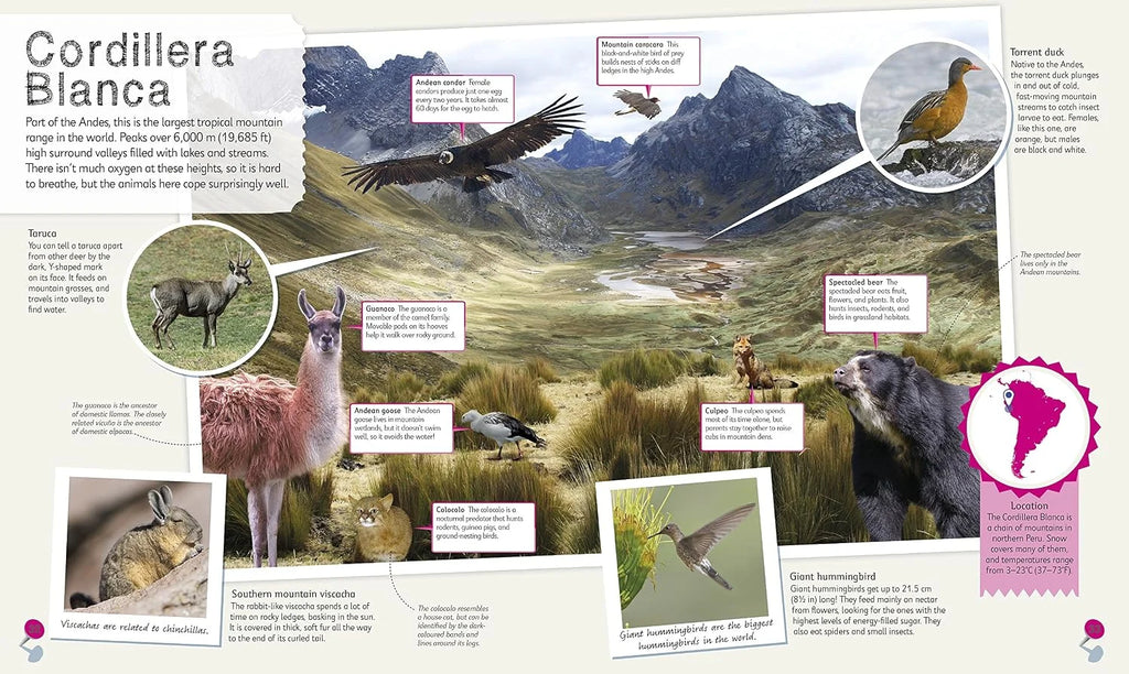 DK Animal Atlas