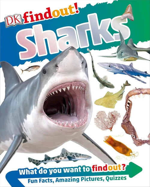 Book cover of 'Sharks' from DK featuring a shark and various shark images on a colorful background.
