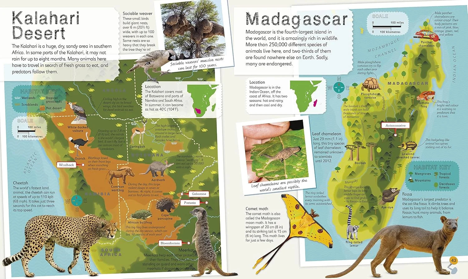 DK Animal Atlas