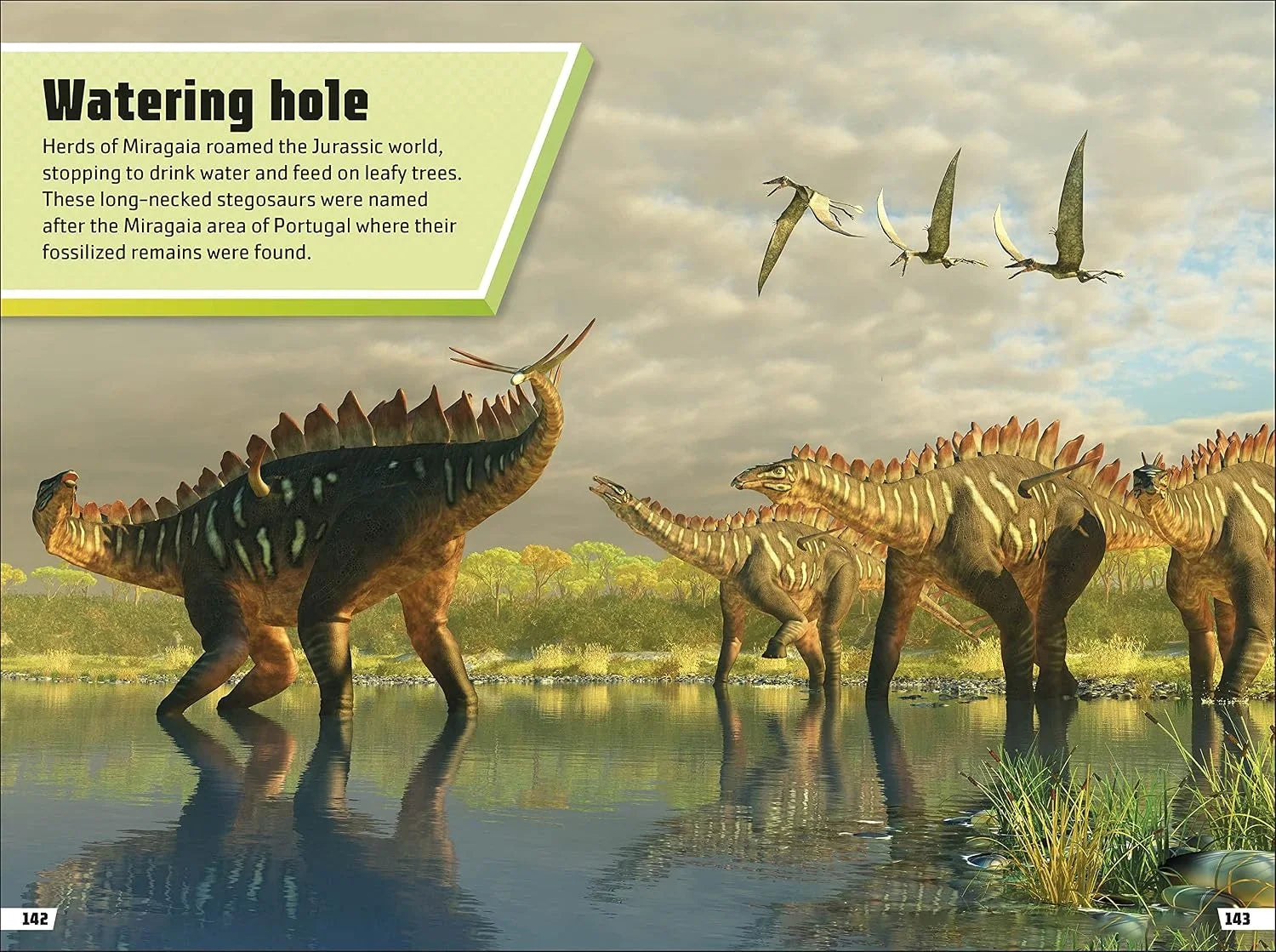 Dinosaur Ultimate Handbook