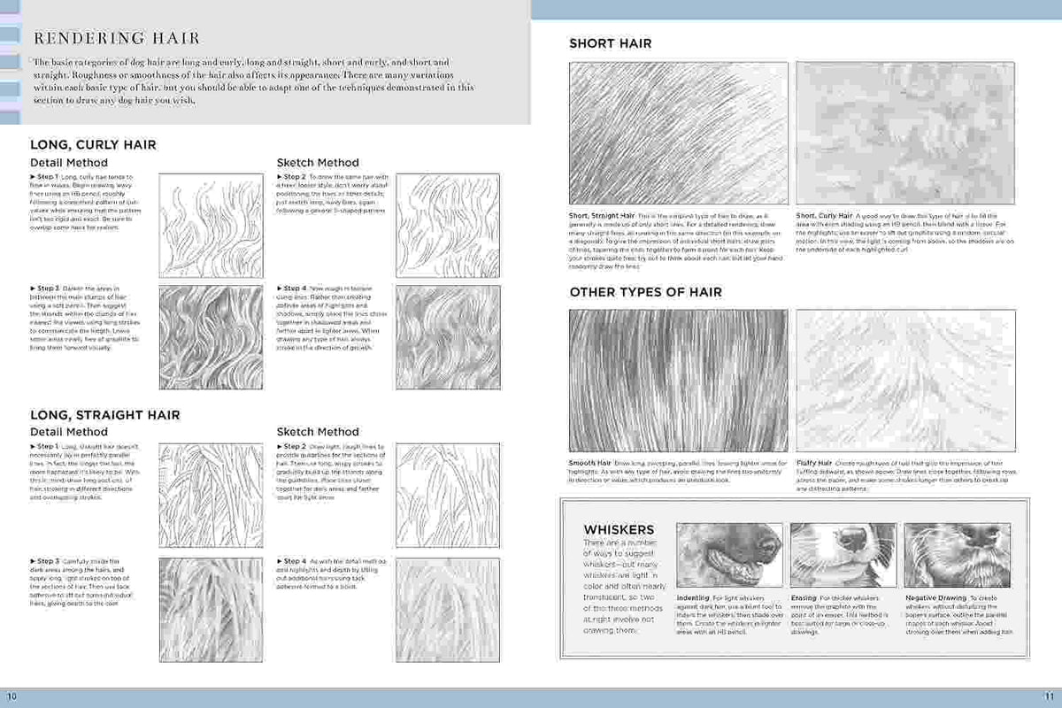 Drawing Lifelike Subjects - A Complete Guide to Rendering Flowers, Landscapes, and Animals