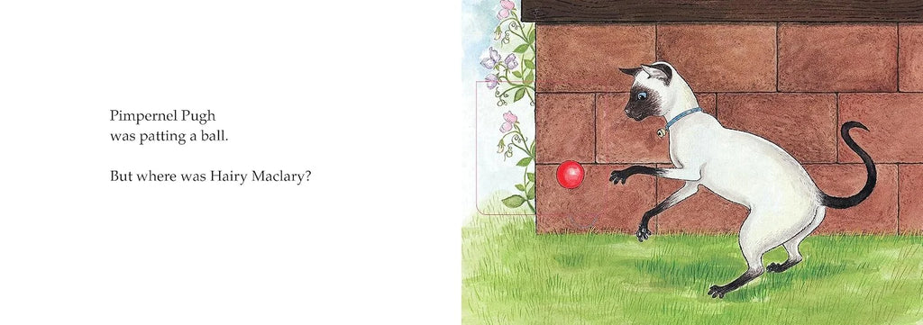Hairy Maclary, Hide and Seek - A Lift-the-Flap Book