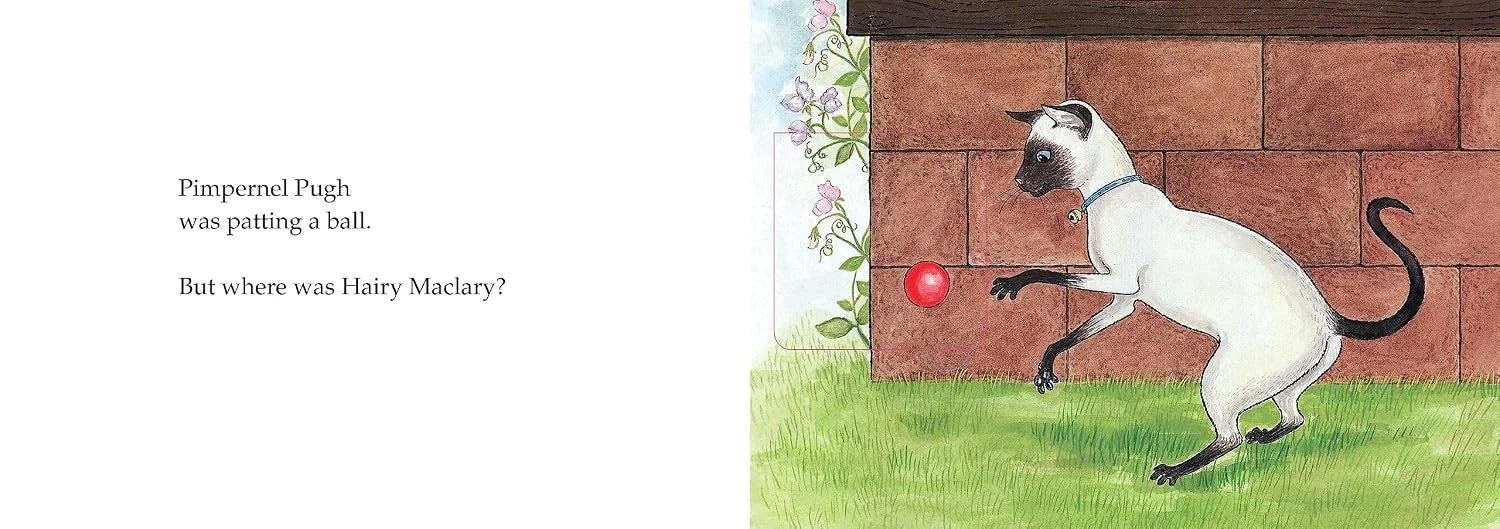 Hairy Maclary, Hide and Seek - A Lift-the-Flap Book