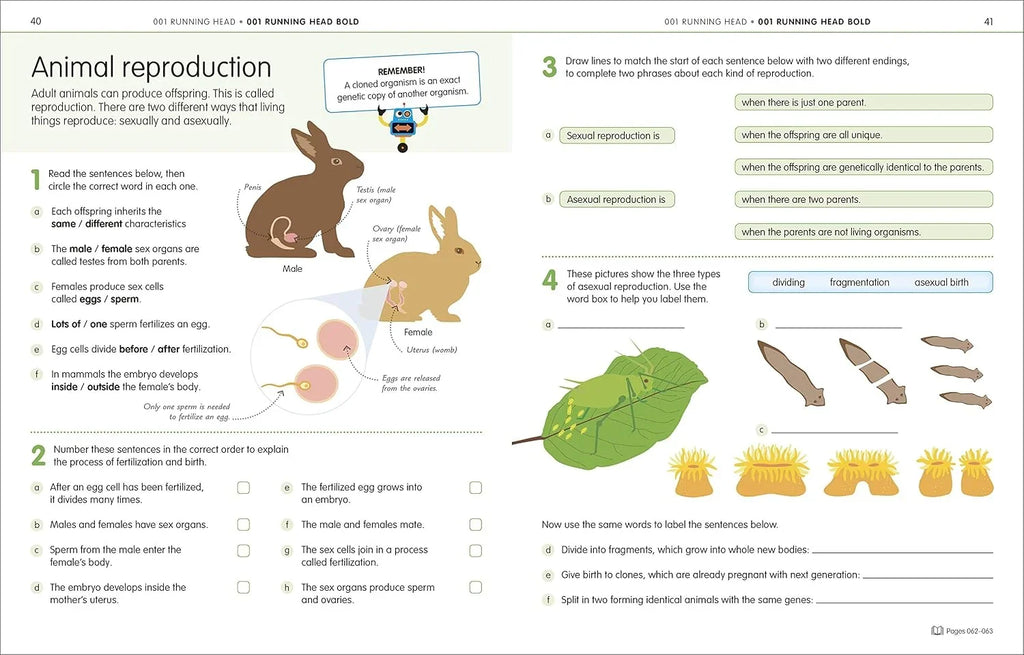 How to be Good at Science, Technology & Engineering Workbook 2