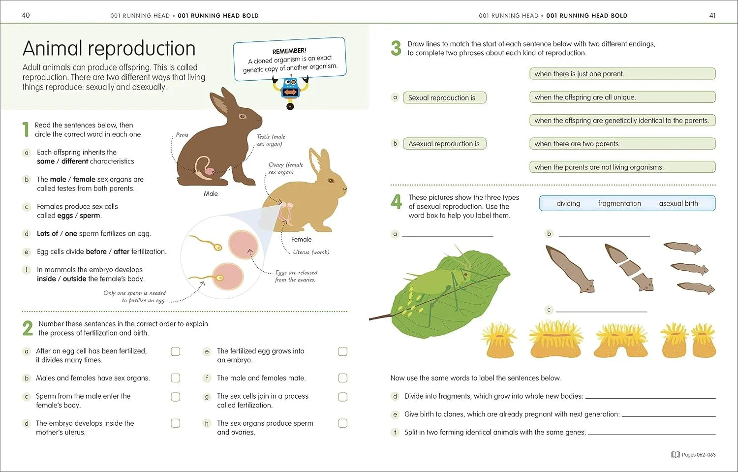 How to be Good at Science, Technology & Engineering Workbook 2