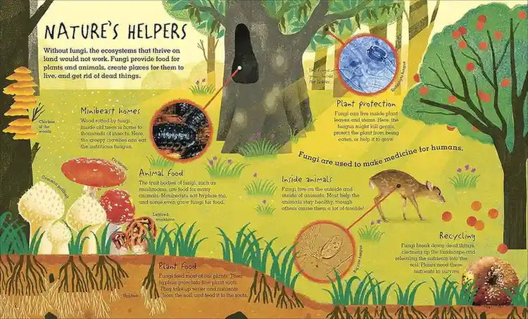 Educational illustration about nature's helpers with plants, animals, and fungi.