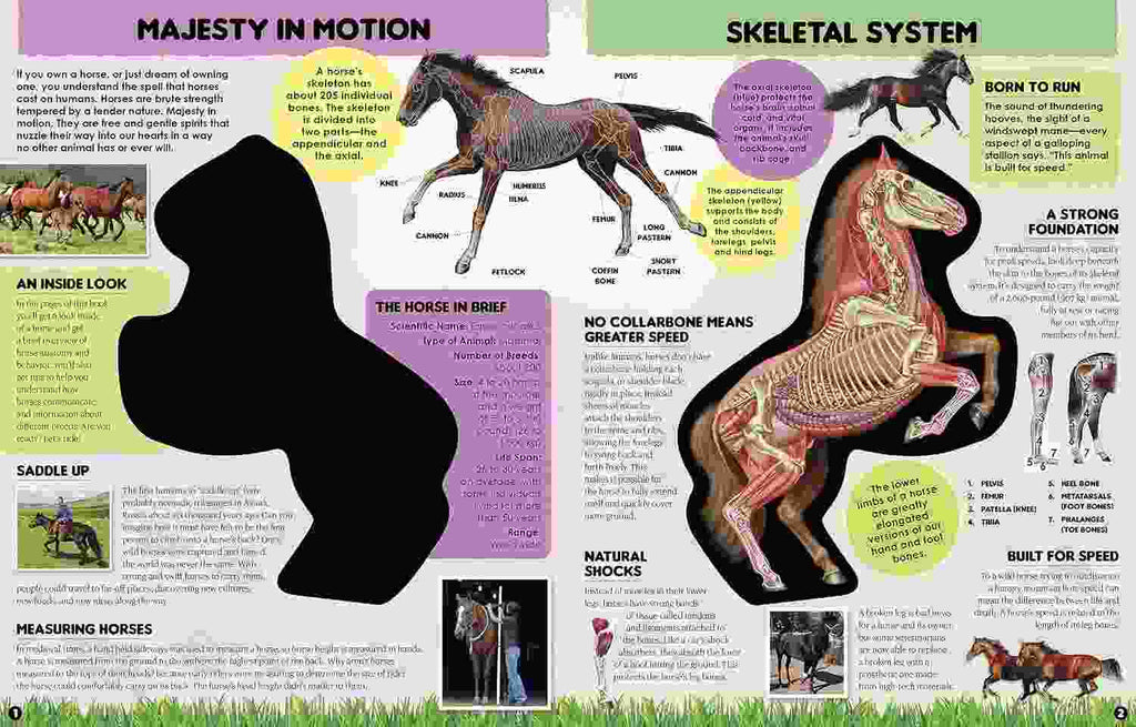 Inside Out HORSE - The Inside Story on the Animal That's Born to Run!