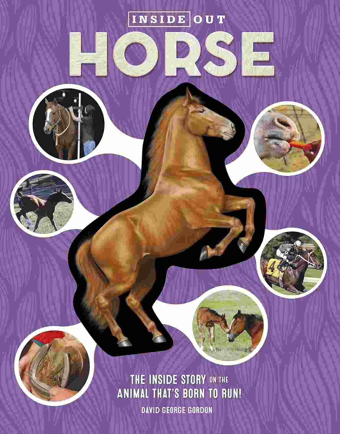 Inside Out HORSE - The Inside Story on the Animal That's Born to Run!