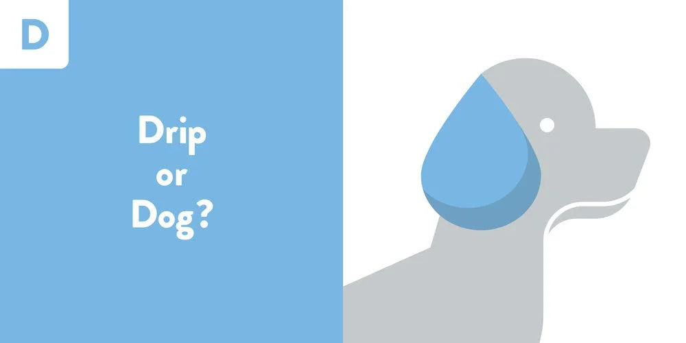Dog silhouette with a blue droplet and text 'Drip or Dog?' on a blue and white background
