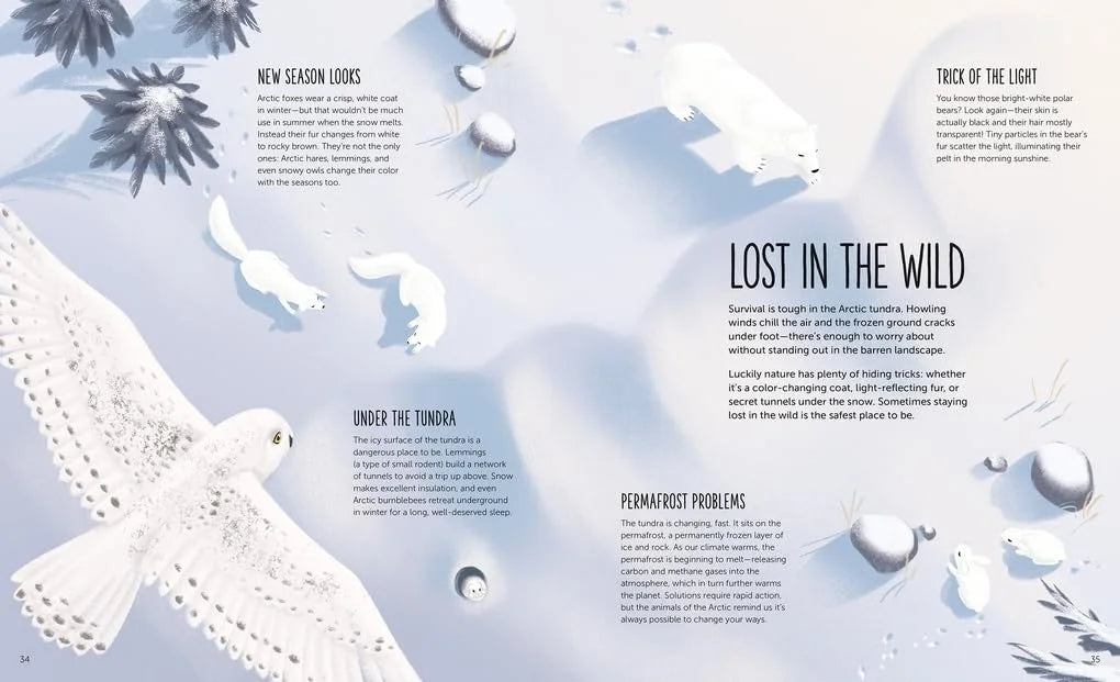 Lost - Uncover Vanishing Wonders