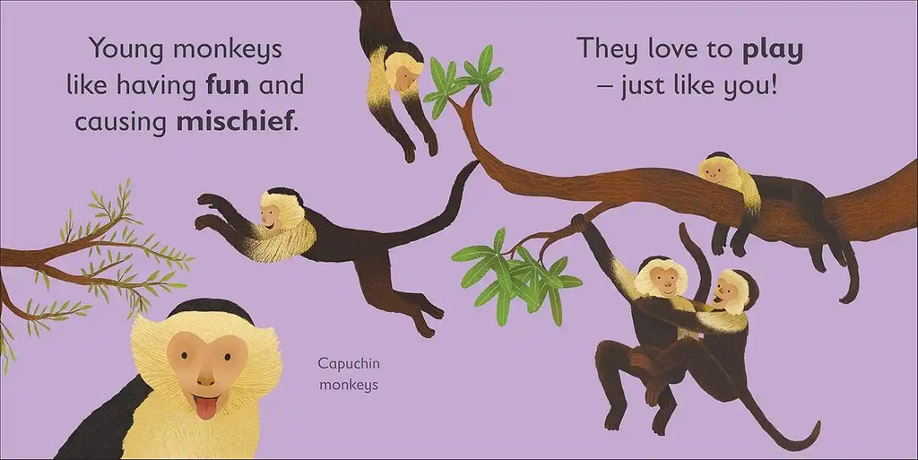 Illustration of capuchin monkeys playing on a branch with text about their playful nature.