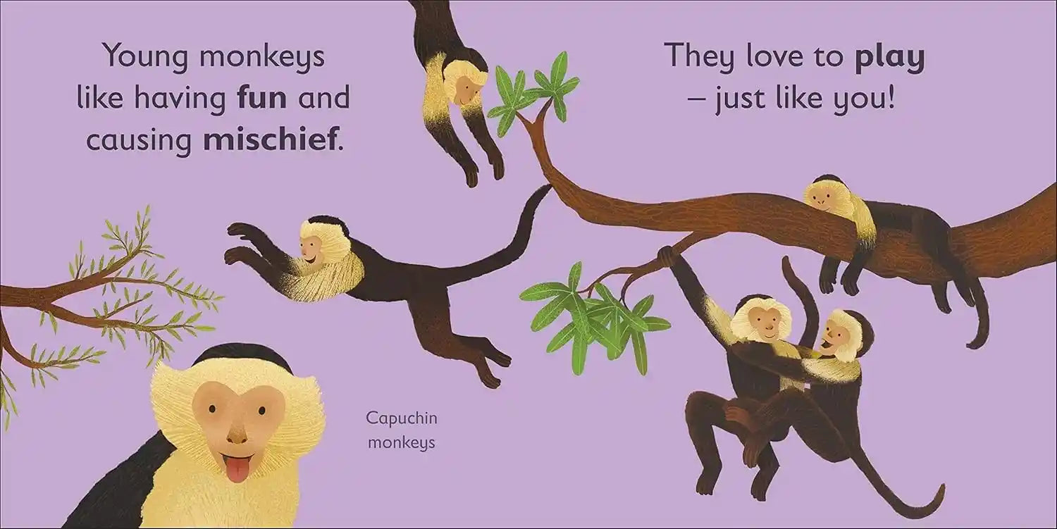 Illustration of capuchin monkeys playing on a branch with text about their playful nature.