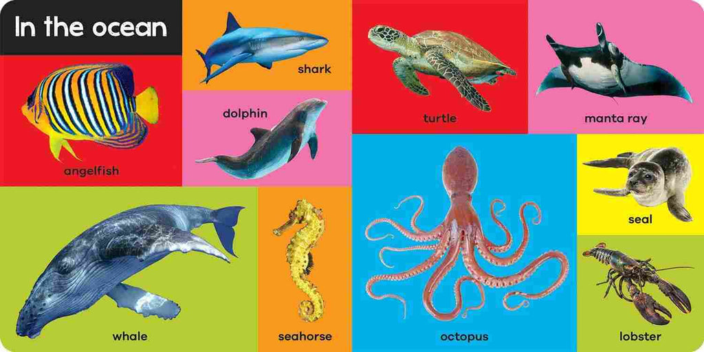 My First 100 Animals – Nat Lambert