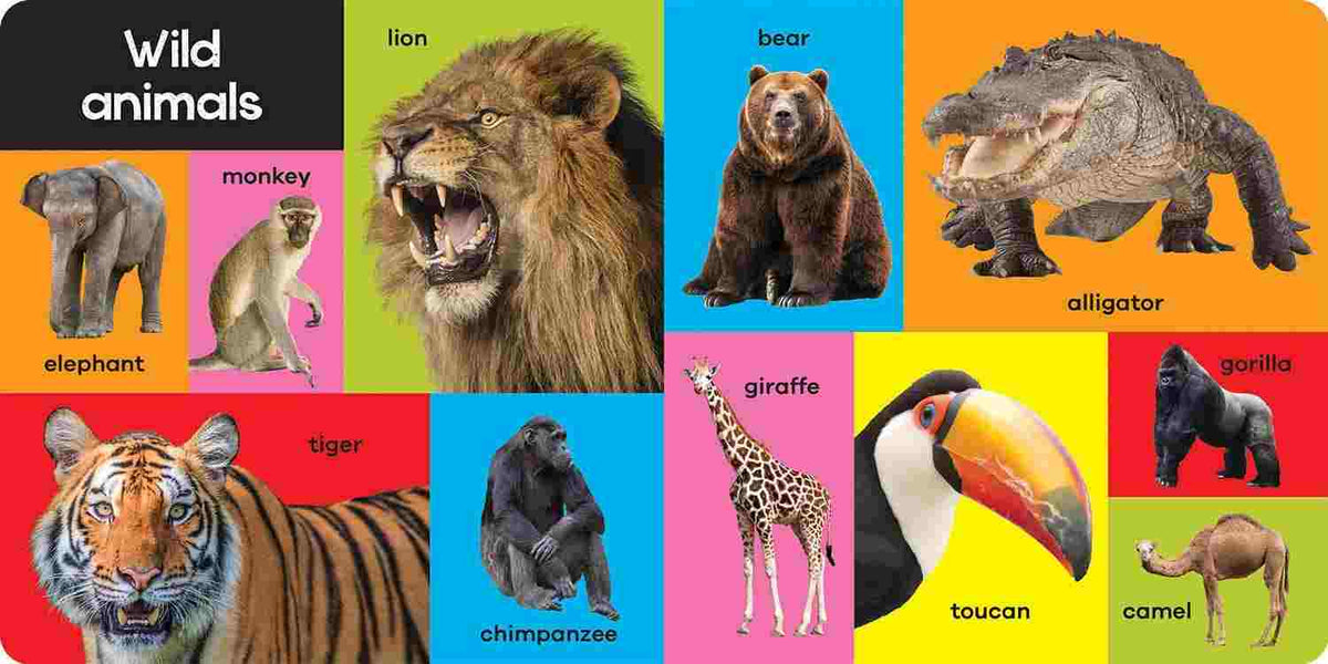 My First 100 Animals – Nat Lambert