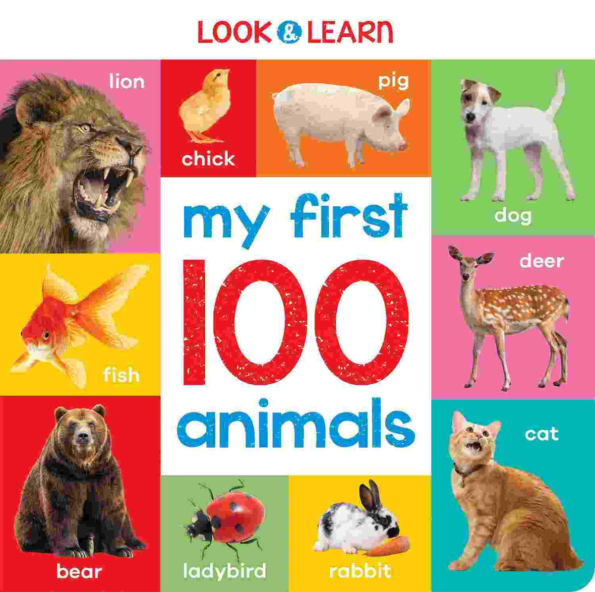 My First 100 Animals – Nat Lambert
