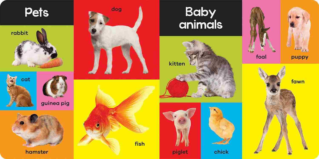 My First 100 Animals – Nat Lambert