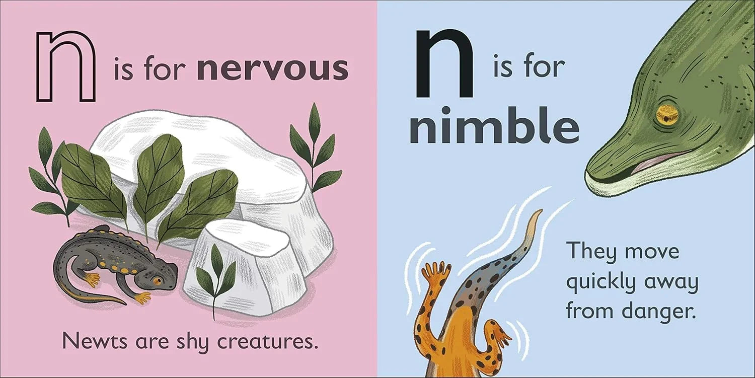Illustrations of newts and a lizard with text about their characteristics on a pink and blue background.