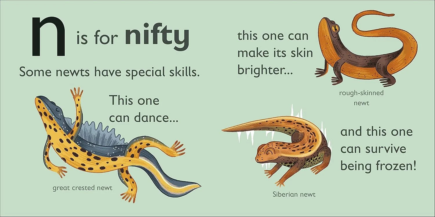 Educational illustration of newts with text about their special skills on a light green background.