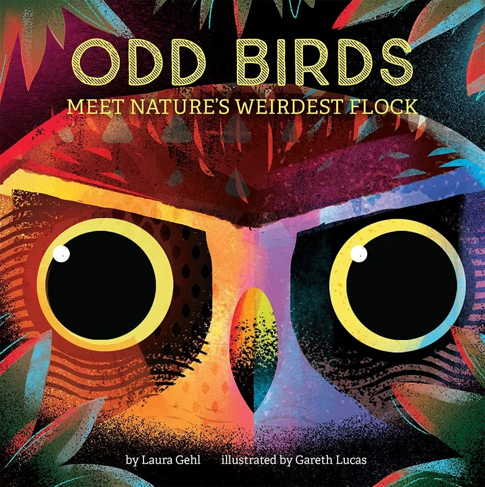 Book cover of 'Odd Birds' with a stylized owl illustration and colorful design.