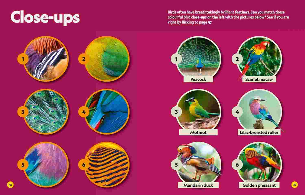 Puzzle Book Coolest Animals