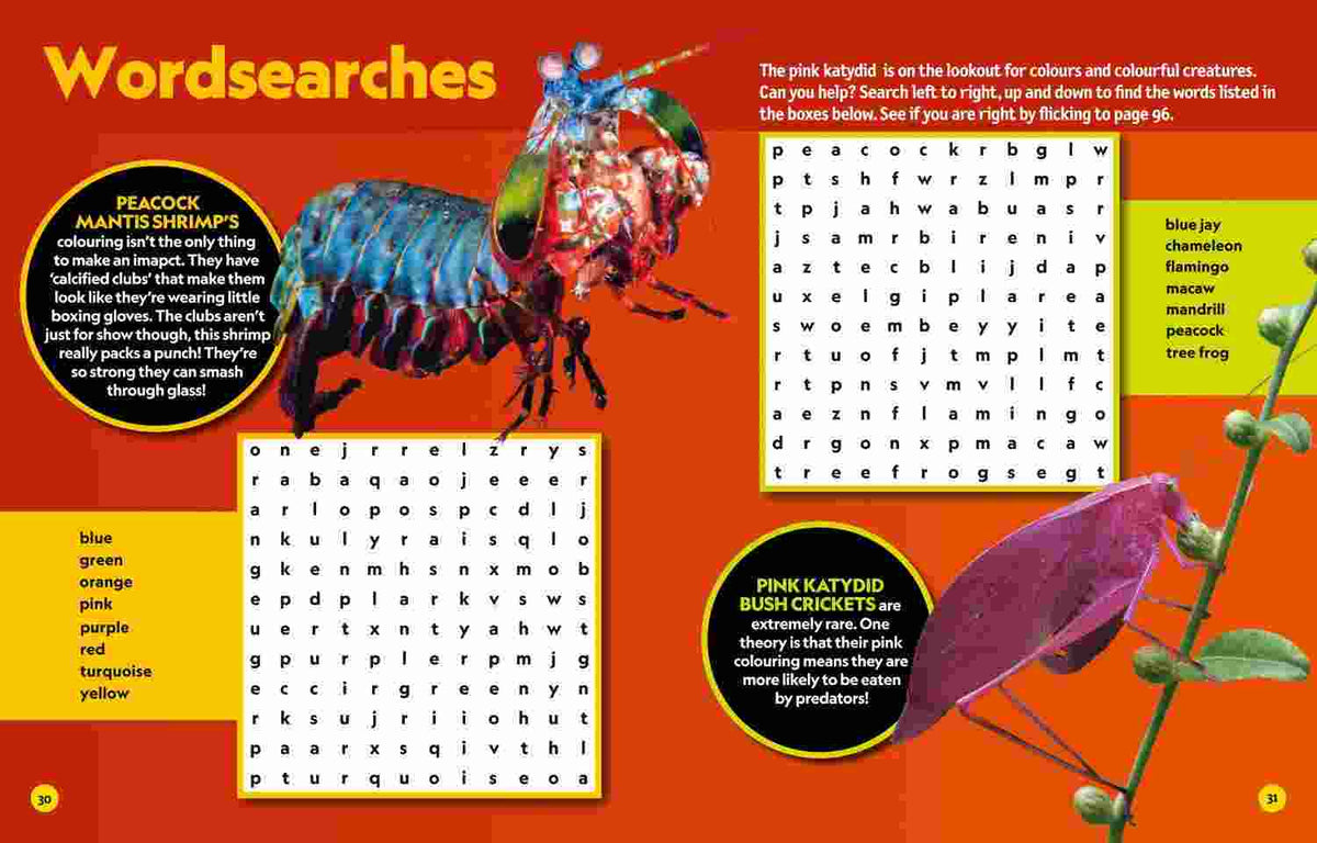 Puzzle Book Coolest Animals