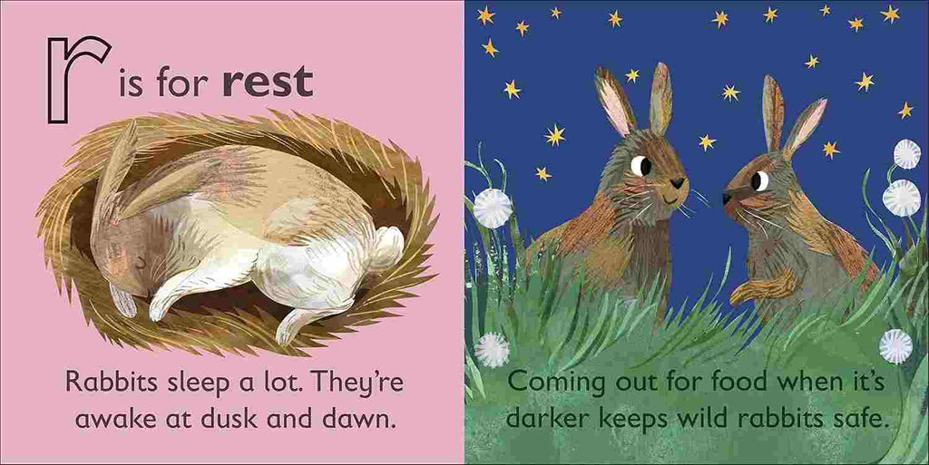R is for Rabbit 