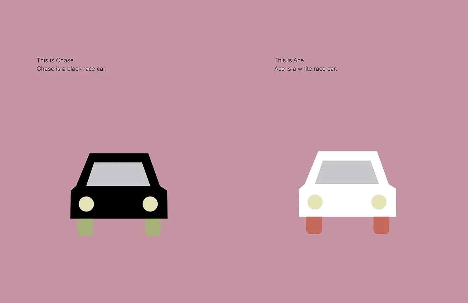 Race Cars - A children's book about white privilege
