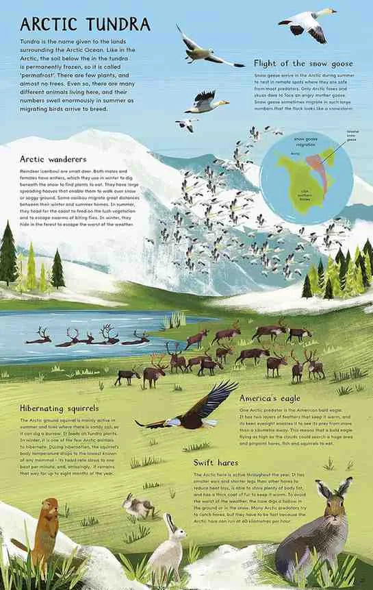 South_Poles_From_Pole_to_Pole