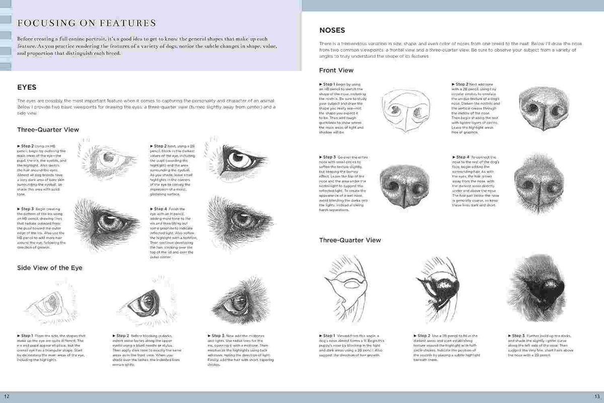 Drawing Lifelike Subjects - A Complete Guide to Rendering Flowers, Landscapes, and Animals