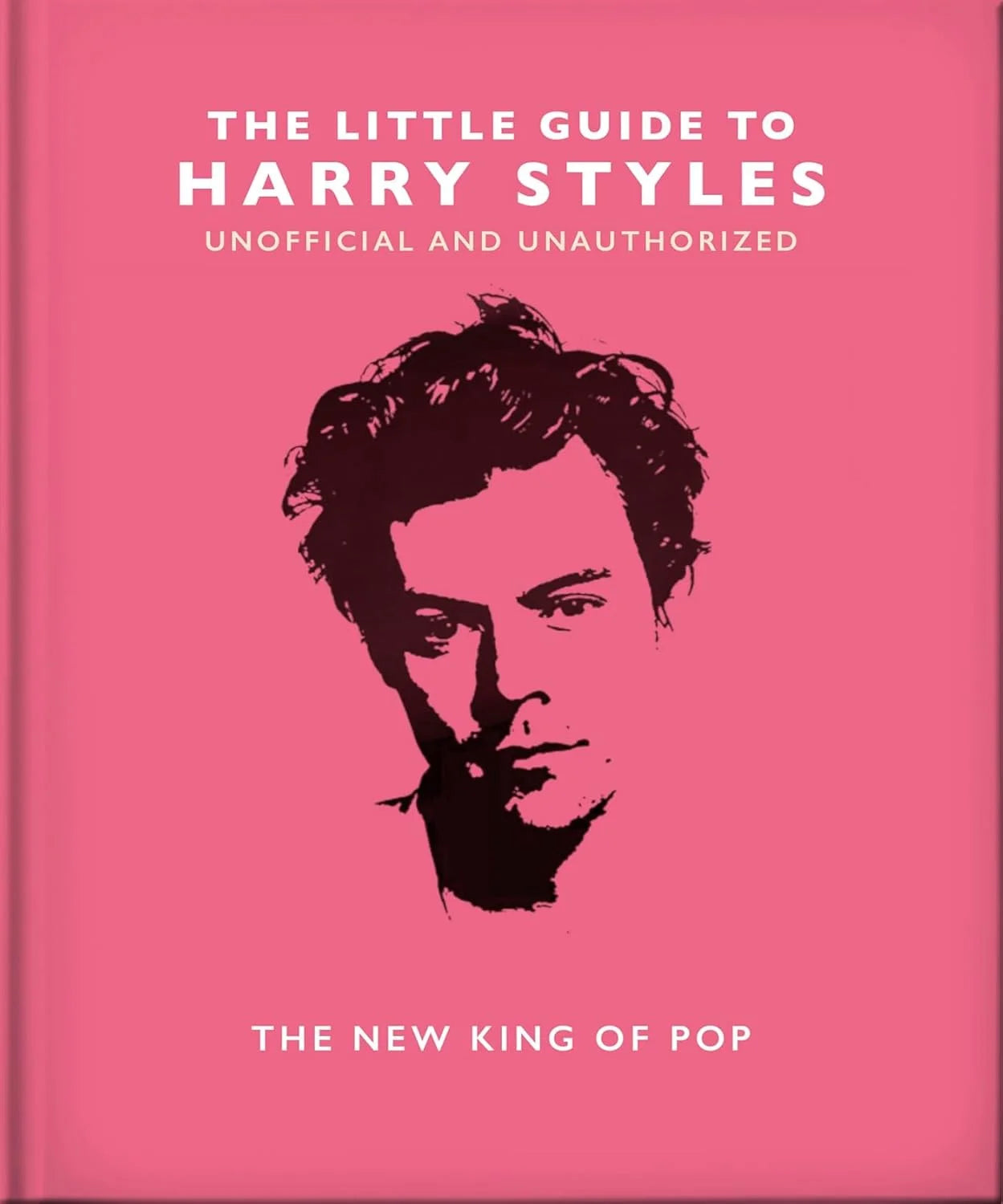 The Little Guide to Harry Style