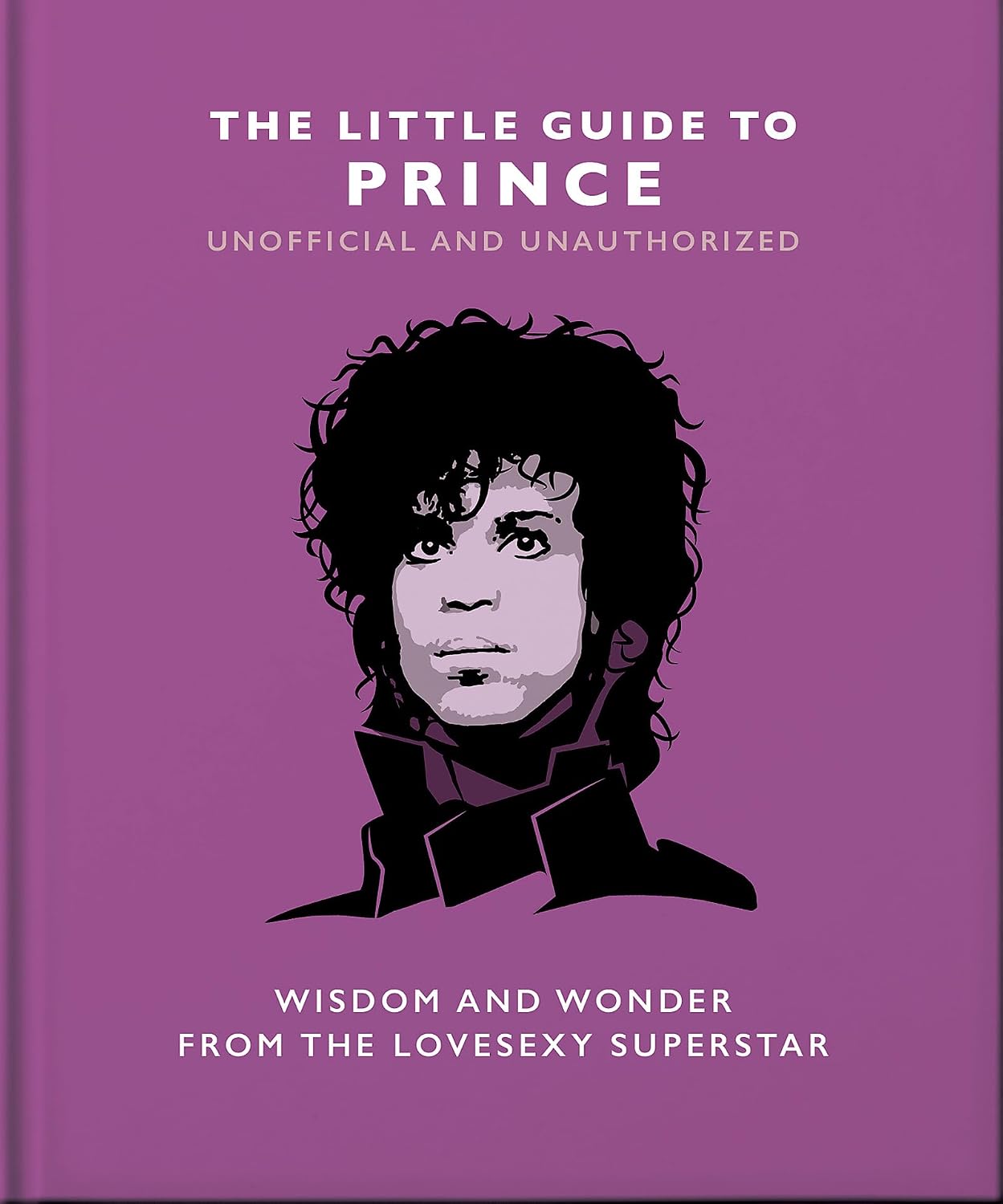 Book cover for 'The Little Guide to Prince' featuring a stylized graphic portrait of Prince on a solid purple background with white text.