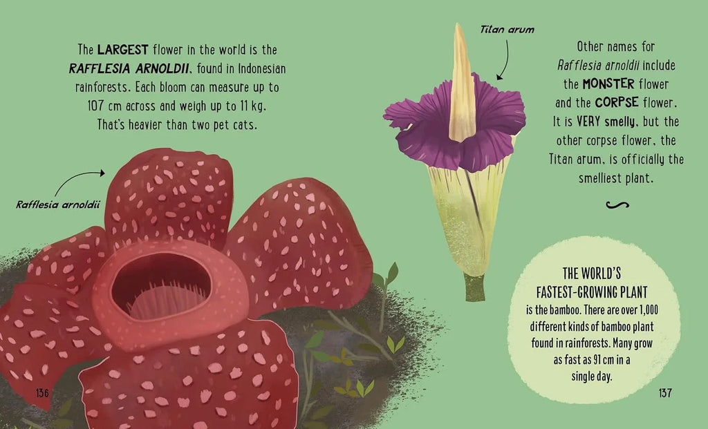 The Small and Mighty Book of Rainforest