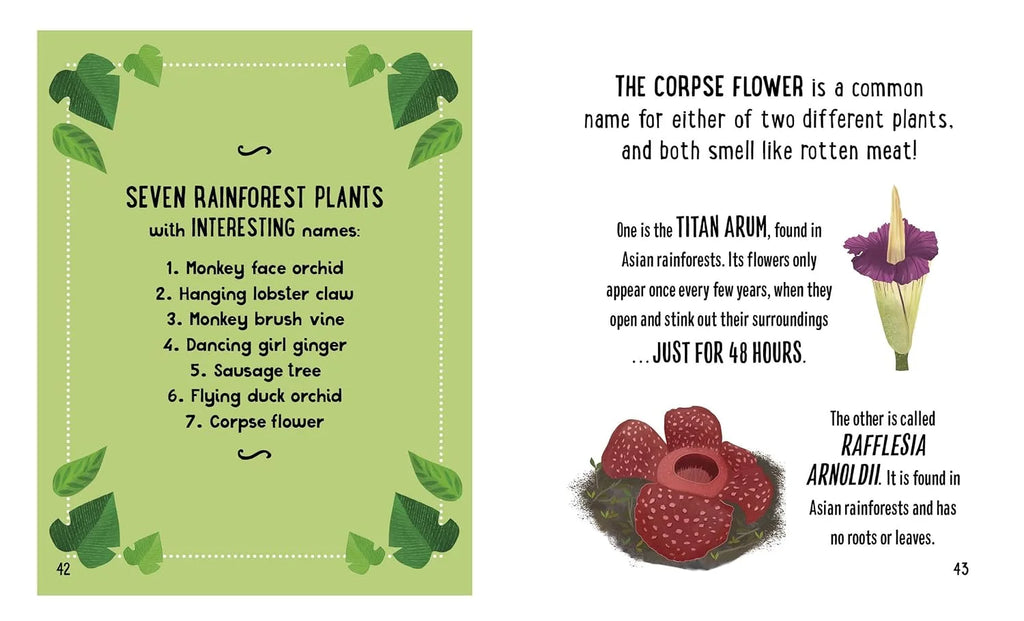 The Small and Mighty Book of Rainforest