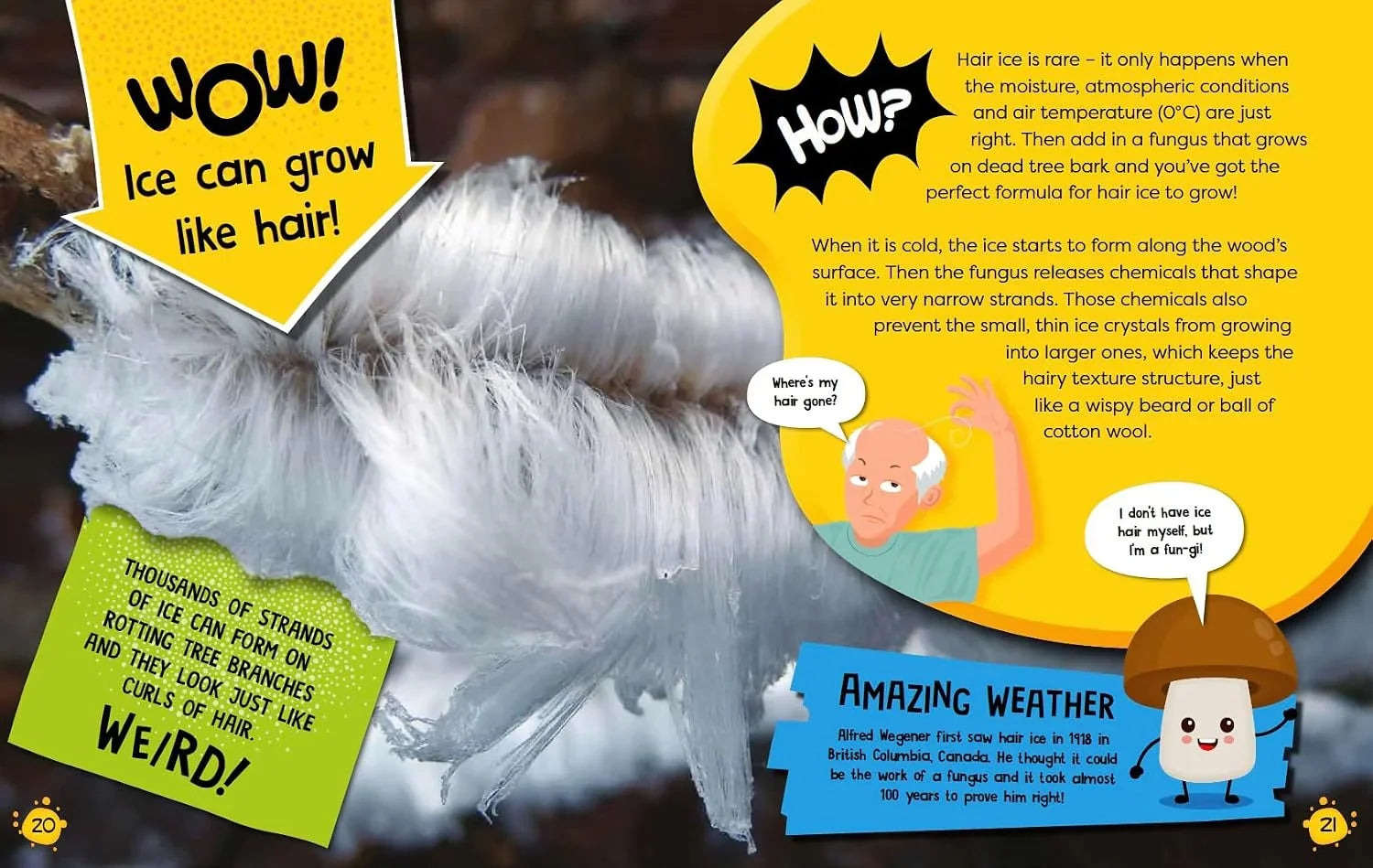 The Wow and How of Weather