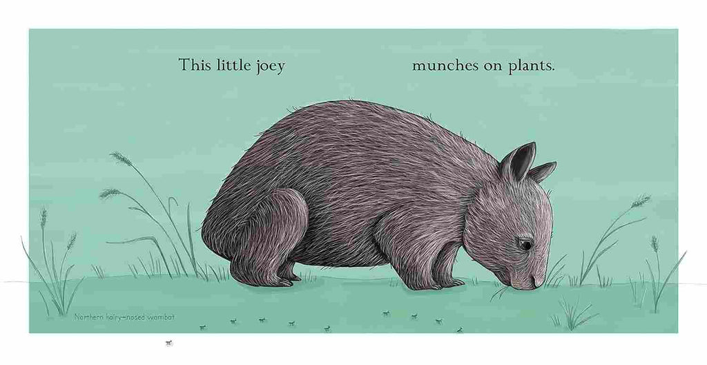 This Little Joey