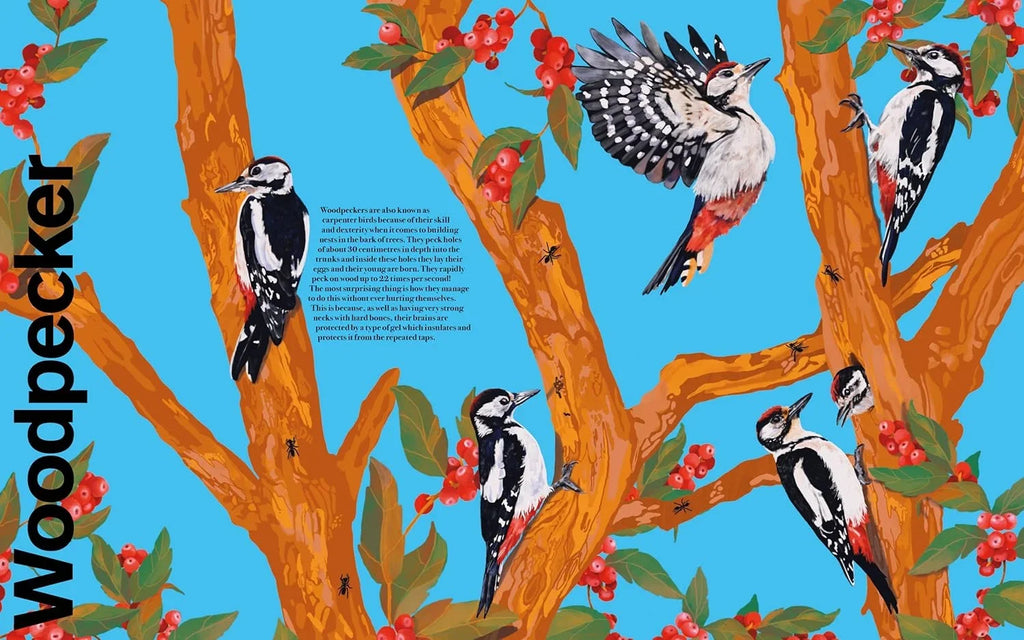 Undercover Birds
