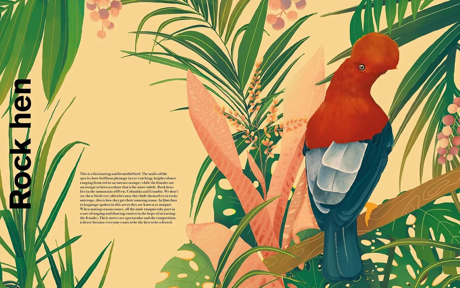Undercover Birdzo