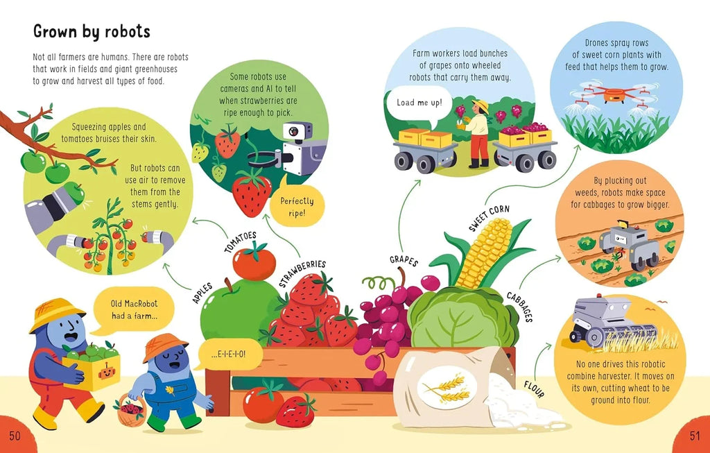 Usborne Lots of Things to Know About Robots