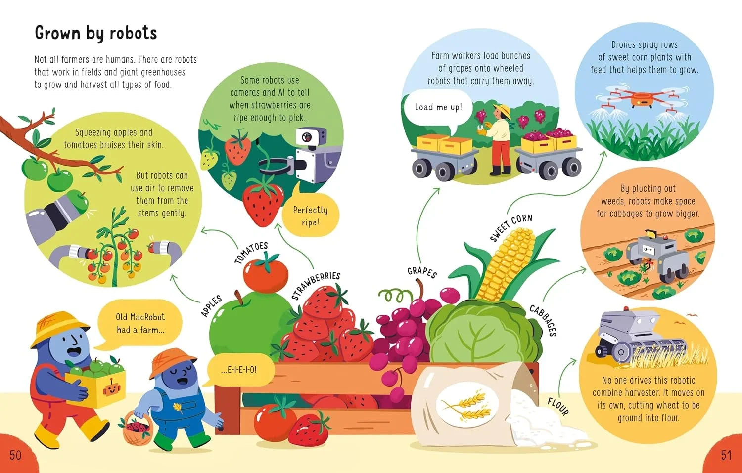 Usborne Lots of Things to Know About Robots