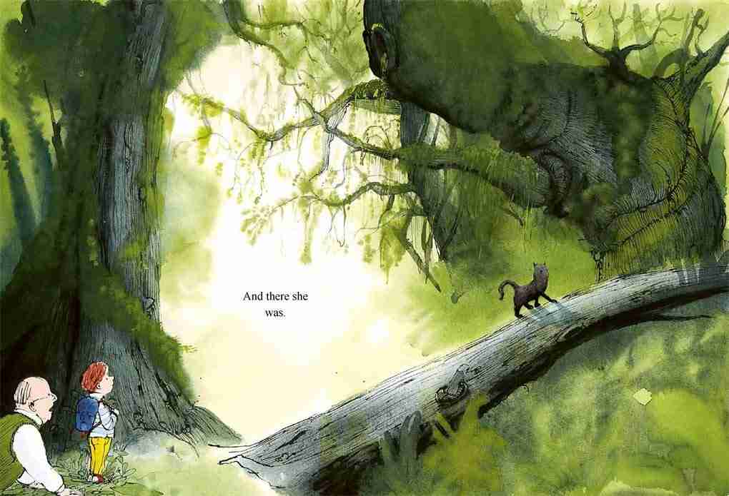 WILD – Sam Usher