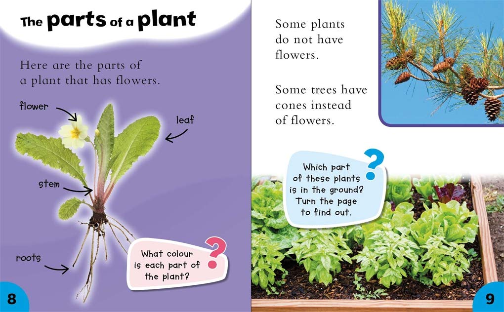Ways Into Science - All About Plants